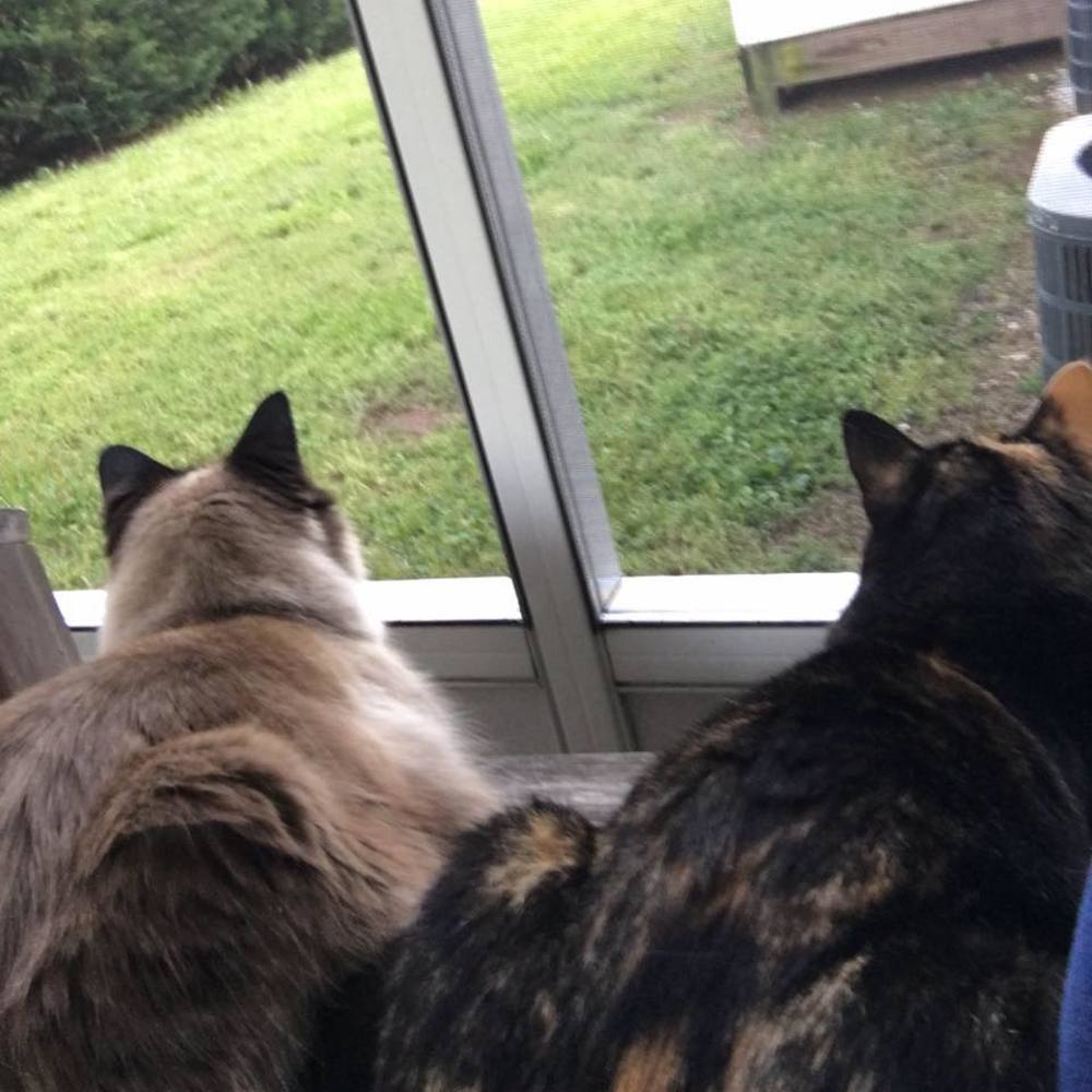 Meet your Posher, Aria